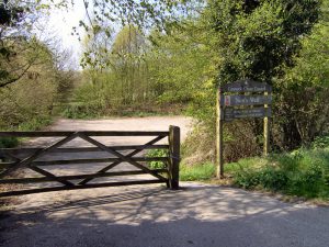 Nunswell Park